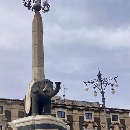 Bloom House Apartman *